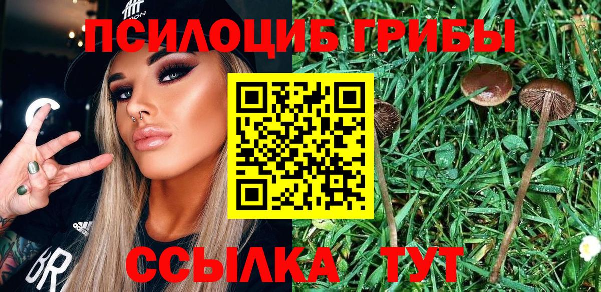 Галлюциногенные грибы MAGIC MUSHROOMS Кувандык